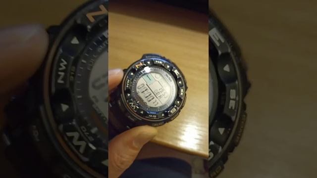 Casio PRG-250 смотреть онлайн