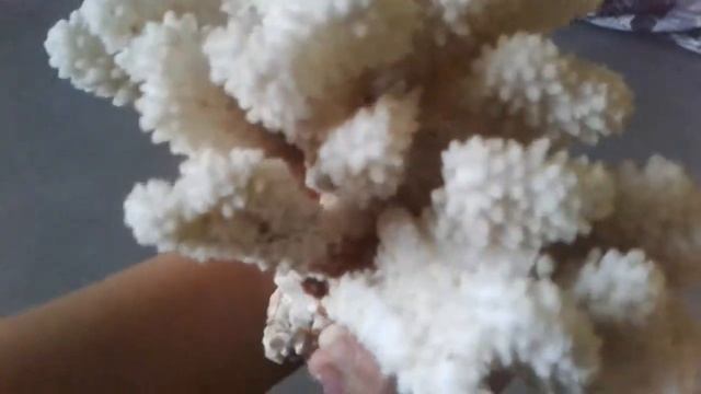 27 июля 2018 г. смотреть онлайн