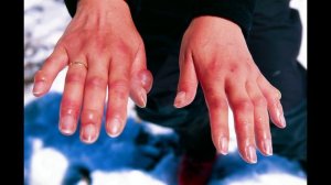 Пропавшие 411 - дети. Что об этом заявляет Дэвид Полайдес?