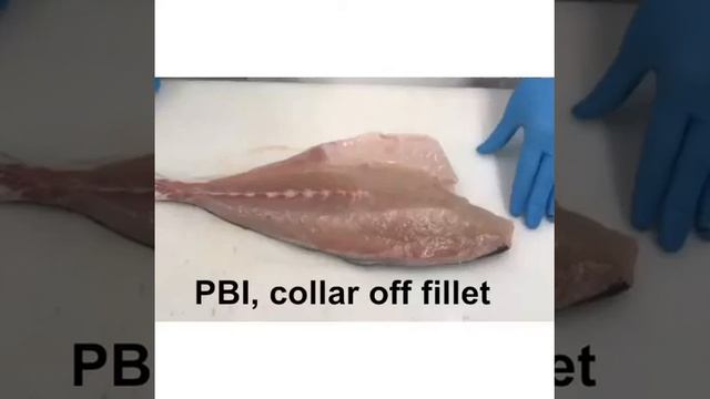 Dutch Yellowtail смотреть онлайн
