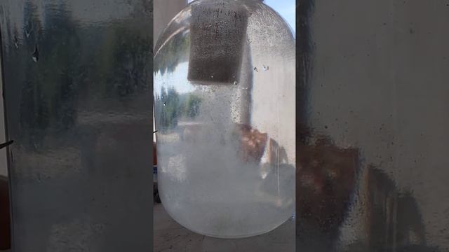 Пыление технопланктона ч.1