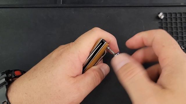 LARGE & IN CHARGE! CONVEX BLADE! TRIVISA AQUILA 03B