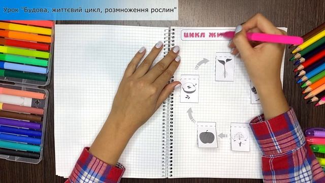 Тиждень 11. Як рослини заселили Землю (Інтерактивний зошит ЯДС) смотреть онлайн