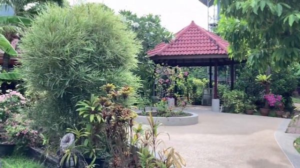 Patong Palace Hotel, in the morning 4 April 2021 | โรงแรมป่าตองพาเลซ หาดป่าตอง ภูเก็ต