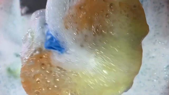 🌊Ocean Paradise Fabuloso + Comet🌊