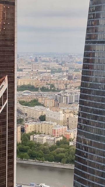 Вид на башни Москва Сити #москва #москвасити #shorts смотреть онлайн