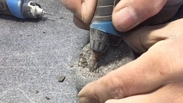 Fossil Prep Tips | Engraver (Dremel 290) смотреть онлайн