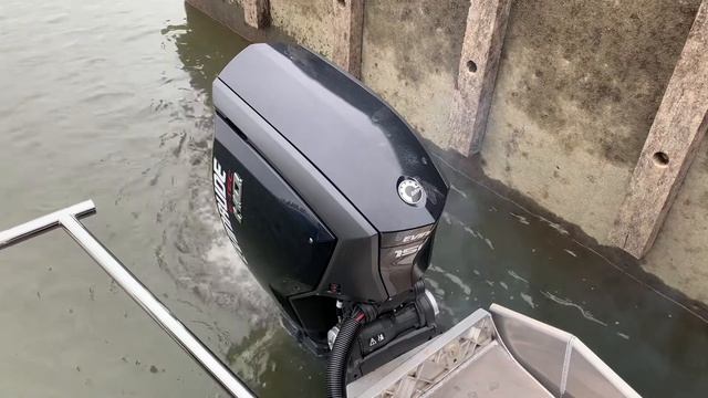 How to Winterize Your Dual Evinrude ETEC G2 Outboards on 2019 Manitou 25 Encore w Simrad Sisplay смотреть онлайн