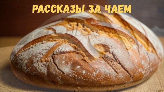 👒Вместе с дачей нам достались неадекватные соседи, но муж быстро их поставил на место... смотреть онлайн