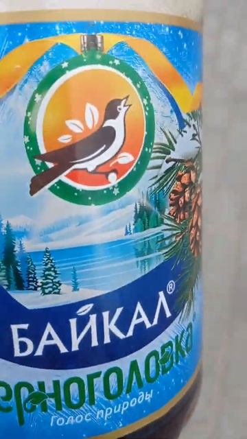 Черноголовка Байкал смотреть онлайн