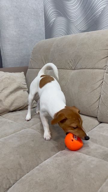 08-01-2025 Джесси ❤️👌🇷🇺