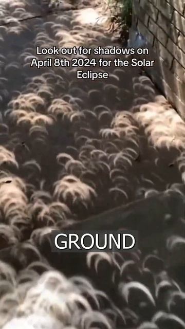 TOTAL ECLIPSE: Night fell for a few seconds in New York смотреть онлайн