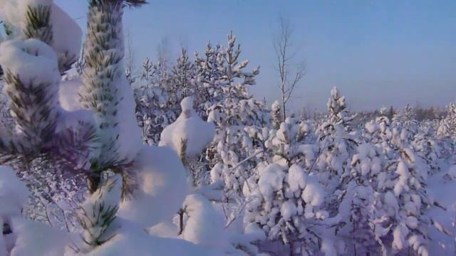 Для ЛК смотреть онлайн