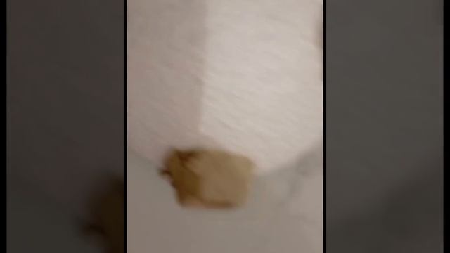 Поделка ко дню космонавтики. Космонавт из фольги. Поделка луна.