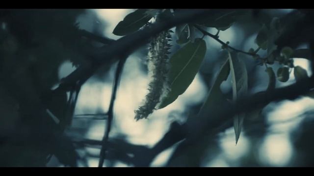 Terra Novum - Sci-Fi Short Film смотреть онлайн