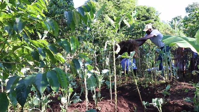 Advaced Permaculture Design Course   Asumbi Homabay County Kenya