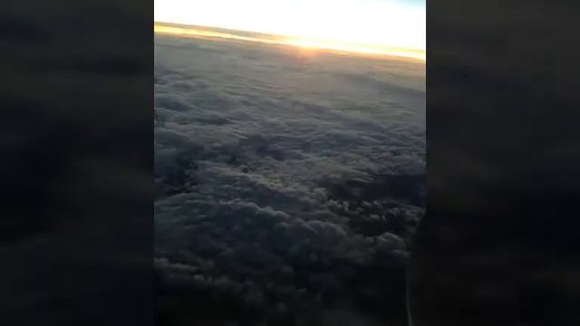 Жульбаны жулики родные смотреть онлайн