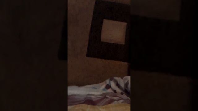 Мой хомяк в прогулочном шаре смотреть онлайн