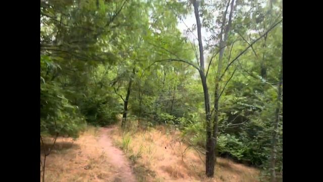 75 Hard challenge. Day 45, daily videos to journal and track my progress. смотреть онлайн