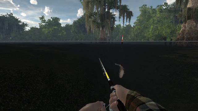 Fishing Planet Understanding bobber motions смотреть онлайн
