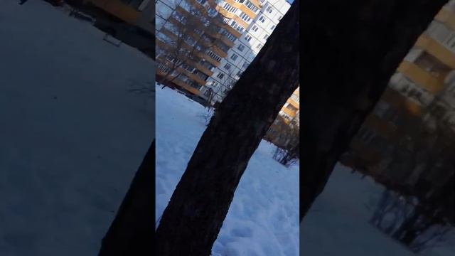 24 часа ВЫЖИВАЕМ в СНЕЖНОЙ АНТАРКТИДЕ ЧЕЛЛЕНДЖ. смотреть онлайн