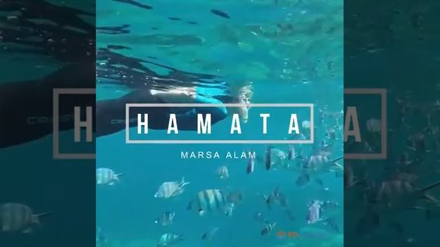 Výlety Z Marsa Alam