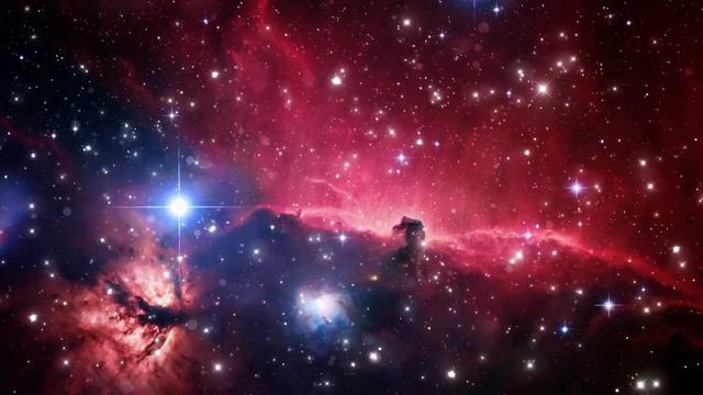 Духовный Путь Записи 2020 г. Часть 34 смотреть онлайн