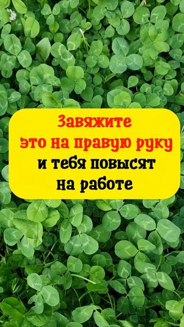 Завяжите это на правую руку и тебя повысят на работе #shorts смотреть онлайн