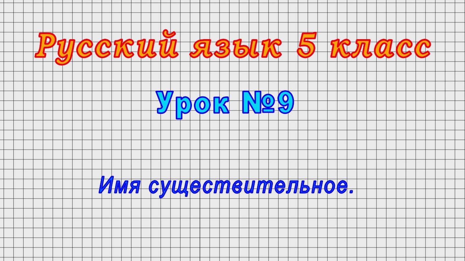 Русский язык 5 класс (Урок№9 - Имя существительное.) смотреть онлайн