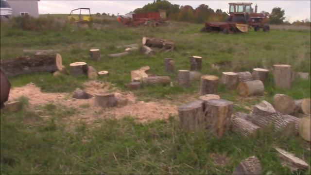 Holzfforma g288 Review After 1/2 Year Of Work & A couple of LOUSY Felling Techniques On Display смотреть онлайн