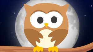 физминутка с совой