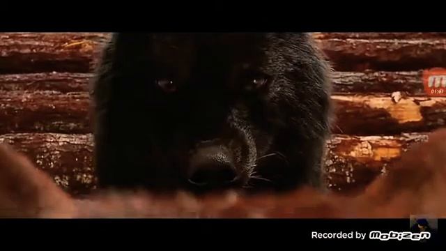 Клип про оборотней из сумерек смотреть онлайн