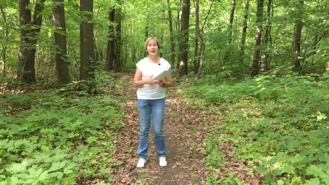 Как избавиться от старых убеждений, тормозящих движение к цели смотреть онлайн