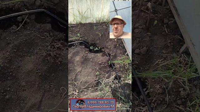 мотоблок АГАТ 🚜💨 прощальный реквиум. и полив в теплице. 😔 смотреть онлайн