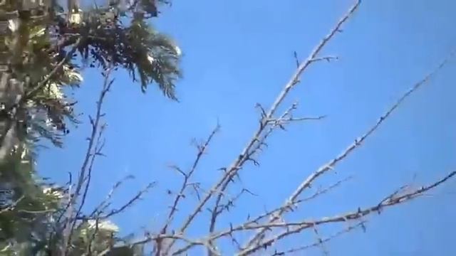 Сигара НЛО в США смотреть онлайн