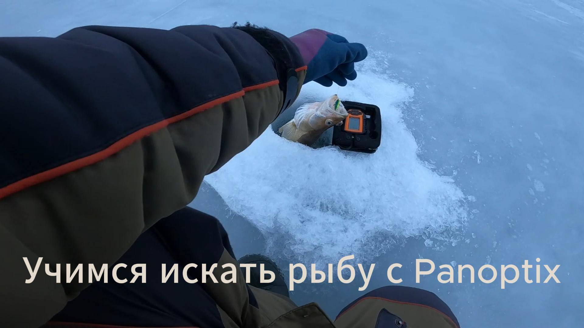 Учимся искать рыбу с Panoptix