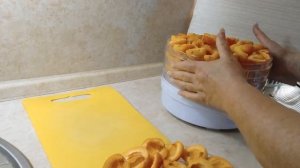 Болгария. Курага в дегидраторе.