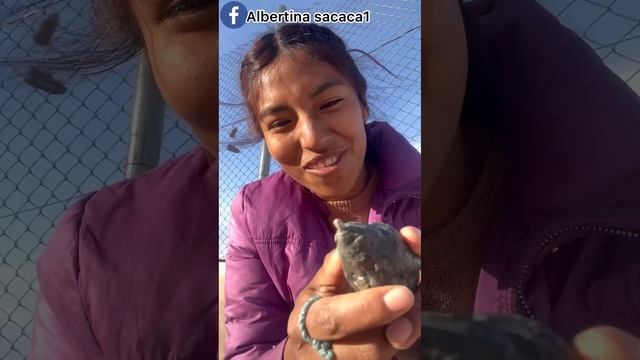 como hacer trompo de plástico (fácil) 🤫😉 смотреть онлайн