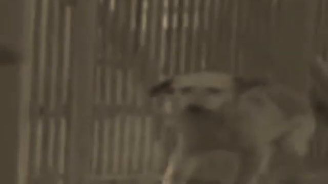 Космос полный вариант смотреть онлайн