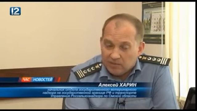 ФГИС "Меркурий" работает 4 дня смотреть онлайн