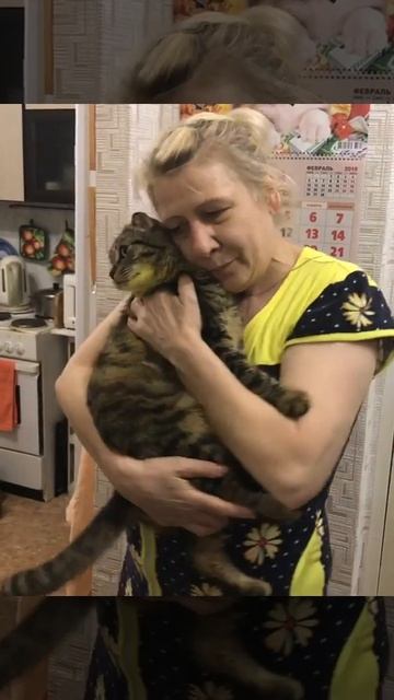 Скорая ветеринарная помощь смотреть онлайн