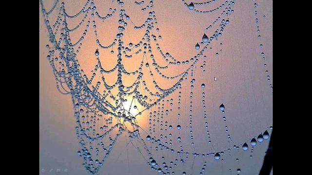 13 09 22 barefootsatsang смотреть онлайн