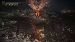 Топ 20 лучшего оружия в Элден Ринг с особыми навыками