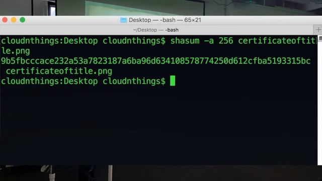 Land Titles On The Blockchain смотреть онлайн