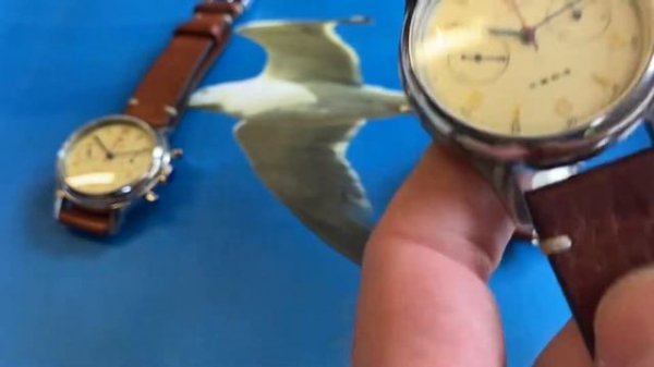 Seagull 1963 Chronograph 38mm, 40mm & 42mm