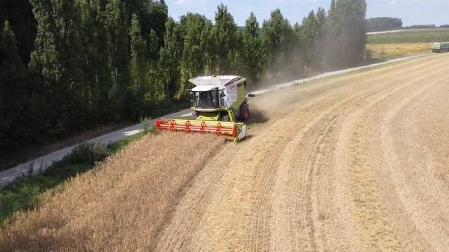 Claas Lexion 620 - 660 смотреть онлайн
