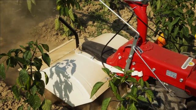 Motocoltivatore Eurosystems P 70 con motore Briggs & Stratton su www.gardenitaliastore.it смотреть онлайн