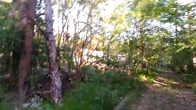 Пионерский лагерь "Южный Буг"/Піонерський табір "Південний Буг" смотреть онлайн