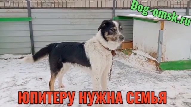 Знакомьтесь - ЮПИТЕР. смотреть онлайн