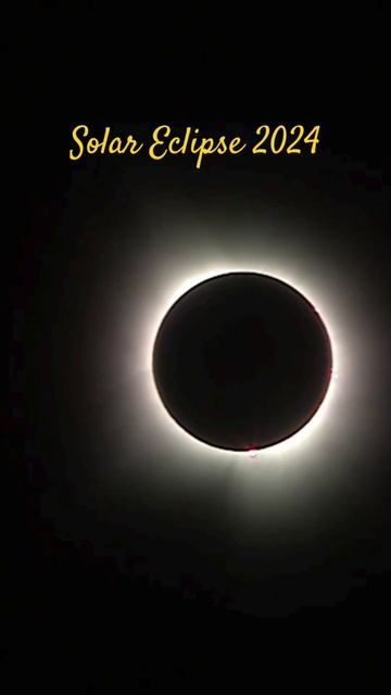Solar Eclipse April 8,2024 #solareclipse #eclipse #totaleclipseoftheheart #nasa смотреть онлайн